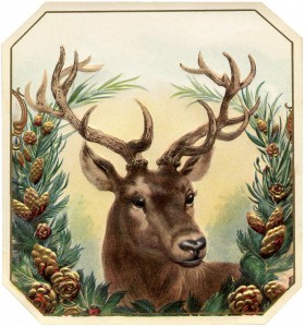 Free-Vintage-Christmas-Image-Deer-GraphicsFairy-957x1024
