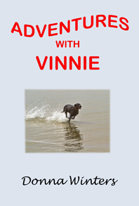 cover-vinnie-website