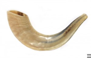 shofars-rams-horns-and-sistrums-likea-tambourine-in-use-picture