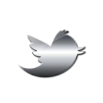 glossy-silver-new-twitter-bird