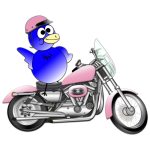 Pink Motorcycle & Bird Final (1)