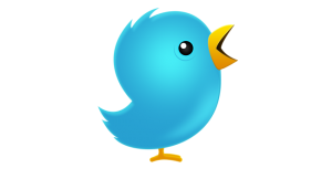 twitter-logo-birddfd