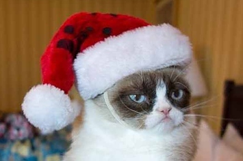 12-days-of-grumpy-cat-christmas-1-12960-1355164759-2_big
