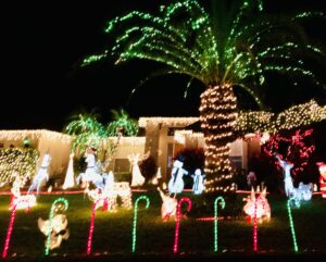 Christmas lights on a palm tree at night surrounded by christmas light decorations such as snowmen and candy canes with lights